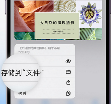 镇雄apple维修中心分享iPhone文件应用中存储和找到下载文件