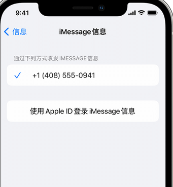 镇雄apple维修iPhone上无法正常发送iMessage信息 