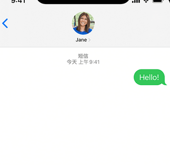 镇雄apple维修iPhone上无法正常发送iMessage信息