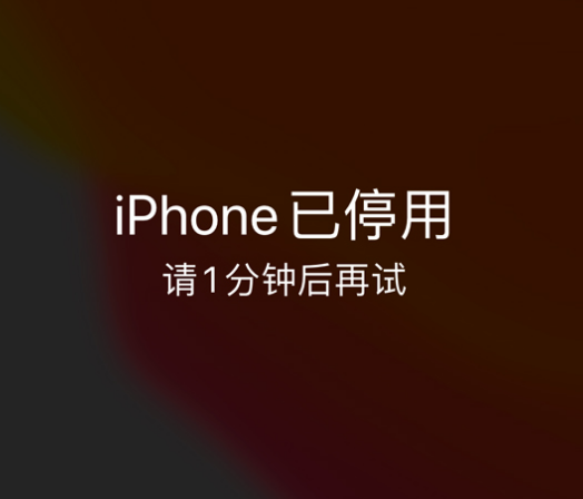 镇雄苹果手机维修分享:iPhone 显示“不可用”或“已停用”怎么办？还能保留数据吗？ 