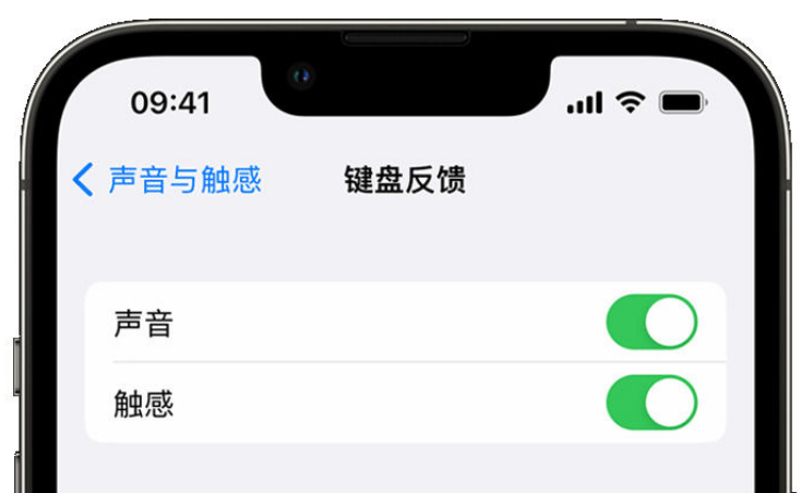 镇雄苹果手机维修分享iPhone 14触感键盘使用方法 