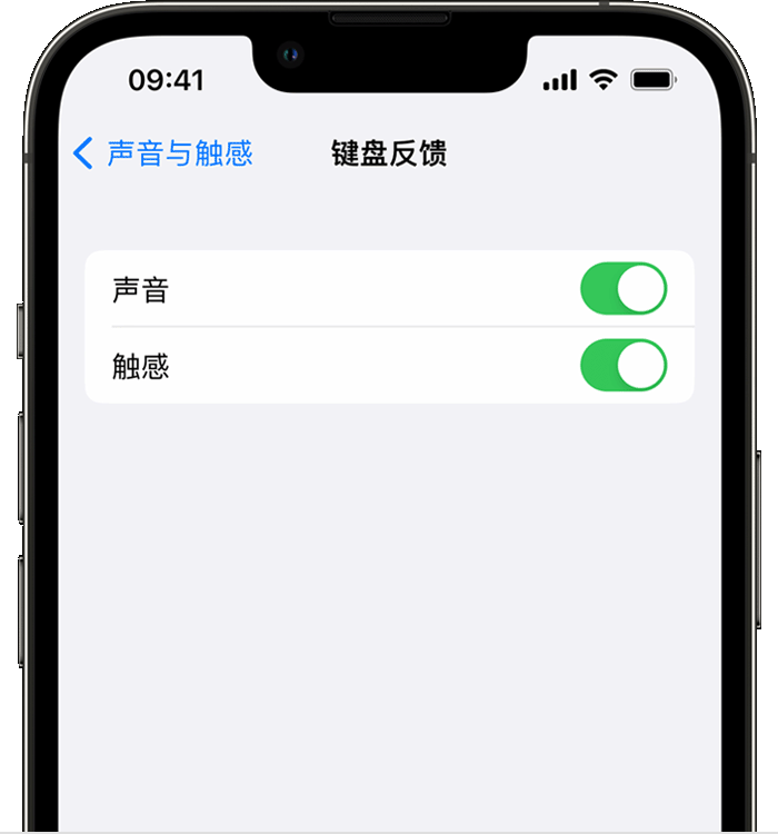 镇雄苹果14维修店分享如何在 iPhone 14 机型中使用触感键盘 