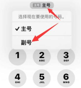 镇雄苹果14维修店分享iPhone 14 Pro Max使用副卡打电话的方法 