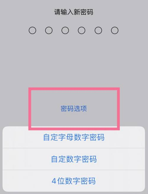 镇雄苹果14维修分享iPhone 14plus设置密码的方法 