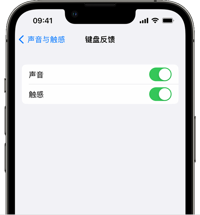 镇雄苹果14维修分享iPhone 14 系列机型如何开启键盘声音或触感反馈 