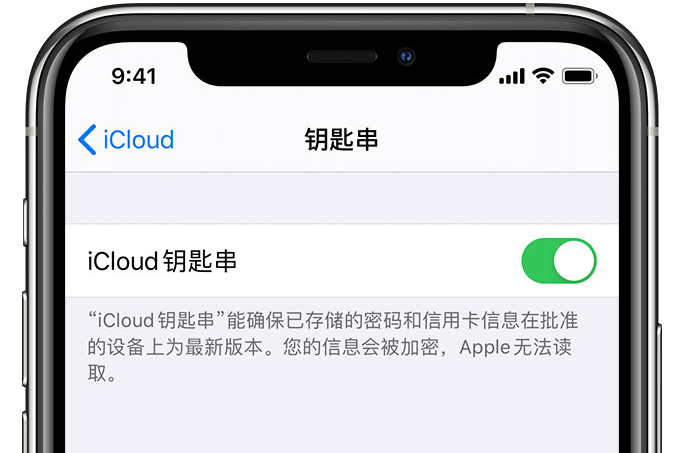 镇雄苹果手机维修分享在 iPhone 上开启 iCloud 钥匙串之后会储存哪些信息 