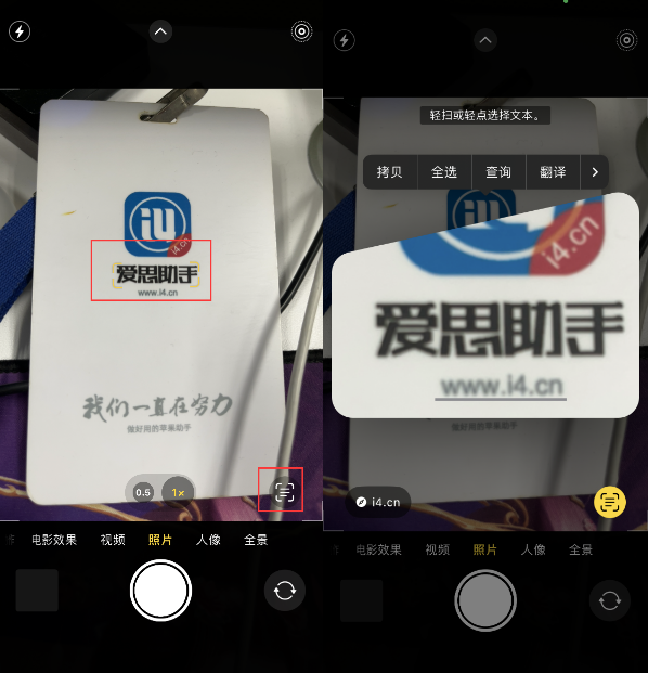 镇雄苹果手机维修分享升级iOS 16后如何通过相机翻译文本 