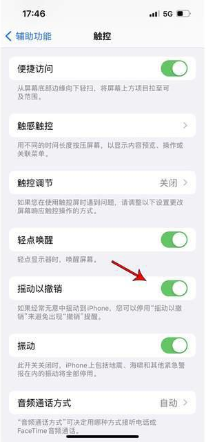 镇雄苹果手机维修分享iPhone手机如何设置摇一摇删除文字 