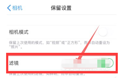 镇雄苹果13维修分享iPhone13拍照有绿点是怎么回事 
