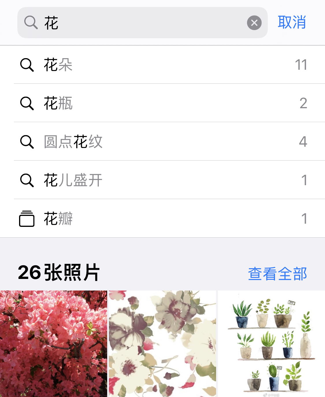 镇雄苹果手机维修分享iPhone 小技巧 