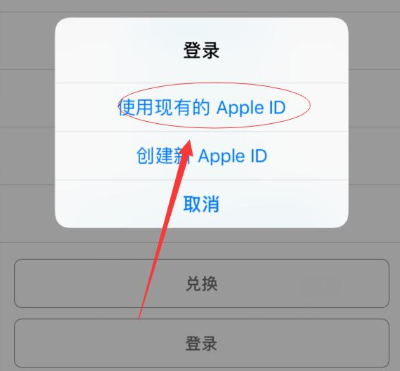 镇雄苹果手机维修分享两台iPhone设备可以同时登录一个Apple ID吗 