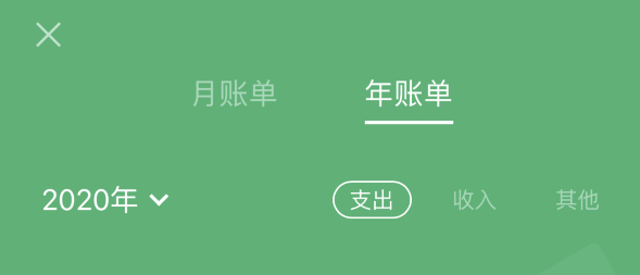 镇雄苹果手机维修分享如何在 iPhone 上查看支付宝和微信年支出账单 